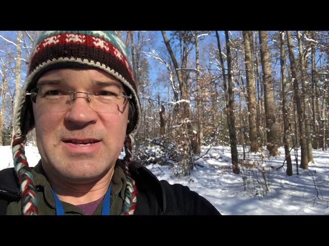 Disc golf in the snow - Burke lake
