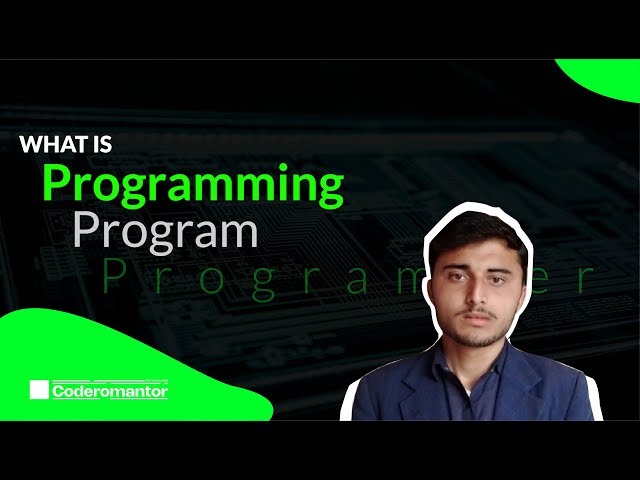 Programming, what is programming , program and who is programmer in Urdu | Coderomantor