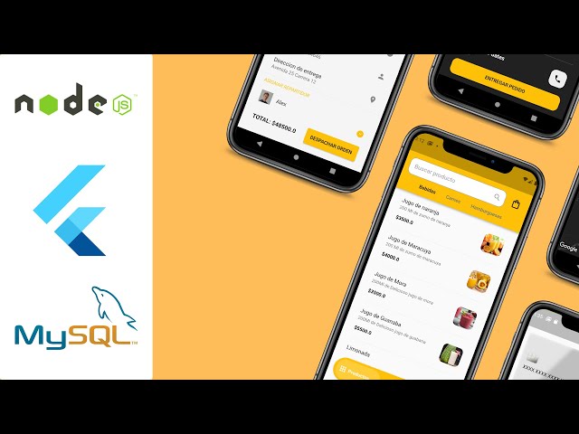 Flutter: App Delivery with NodeJS, MySQL And Payment gateway