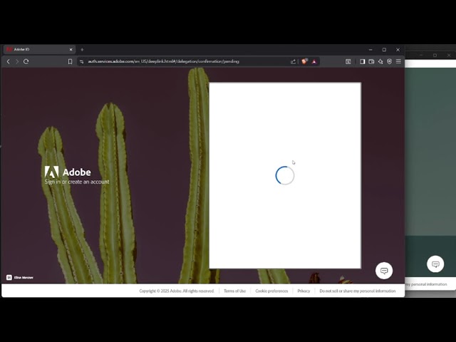 adobe creative cloud issue tutorial