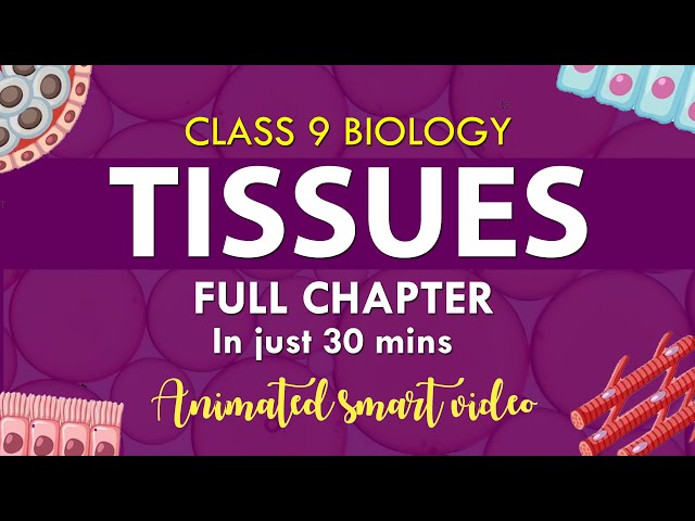 #Tissues Class 9 Full chapter in one shot Animation | cbse 9  Biology | chapter 6| NCERT Science