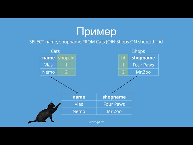 SQL on cats: Joins