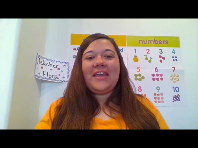 VipKid Introduction