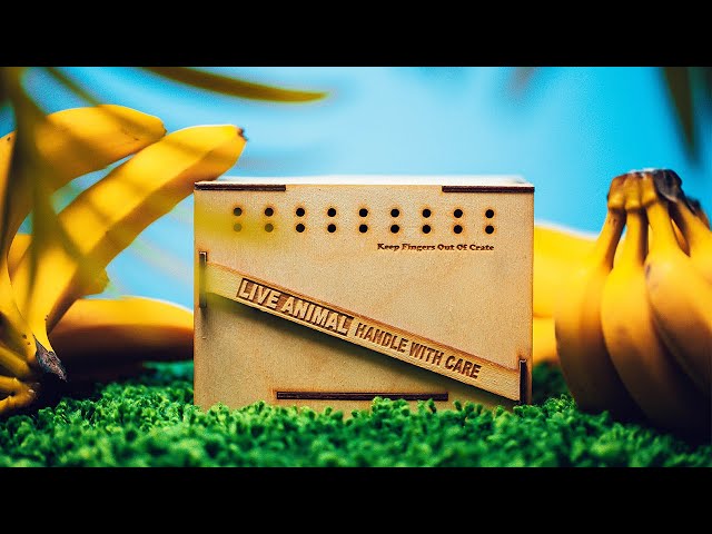 THIS PUZZLE IS BANANAS - My NEW Favorite Puzzle!! ($1200)