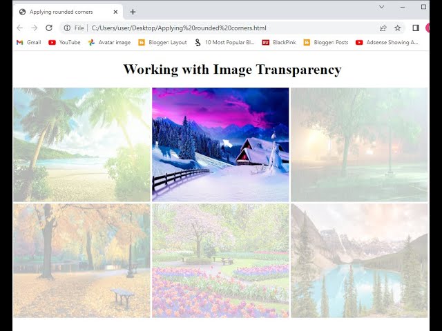 Changing Image Transparency with Mouse Events || Learn Coding with Fun