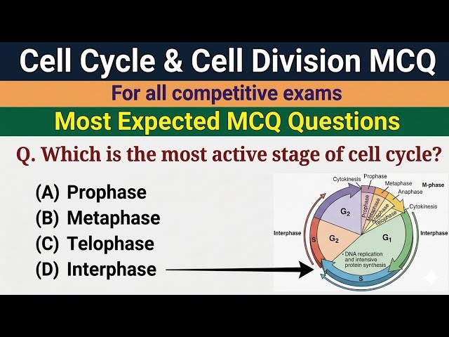 Cell Division MCQ - MCQ on Cell Cycle and Cell Division - Part 1