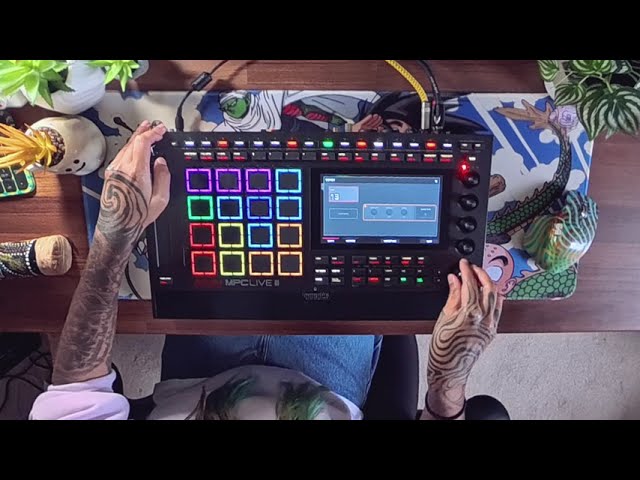 AKAI MPC LIVE 3 - LIVE LOOPING HOUSE BEATS - GNARLY