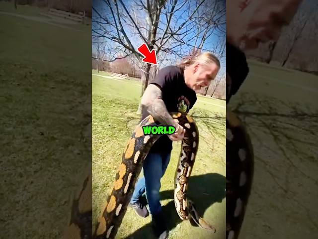 Joe Rogan Explains the Biggest Snake in the World 🐍