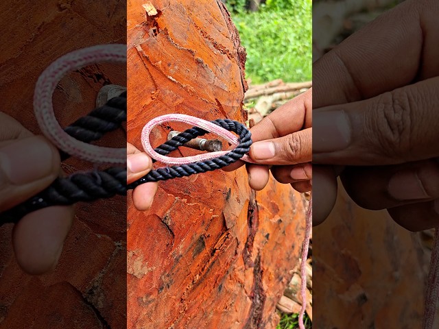 Rope Knot Is Seriously Smart !! 💯✅