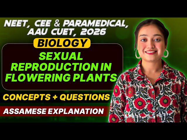 NEET +CEE  2026 Biology | Sexual Reproduction in Flowering Plants | Concepts + PYQs |Let's Approach