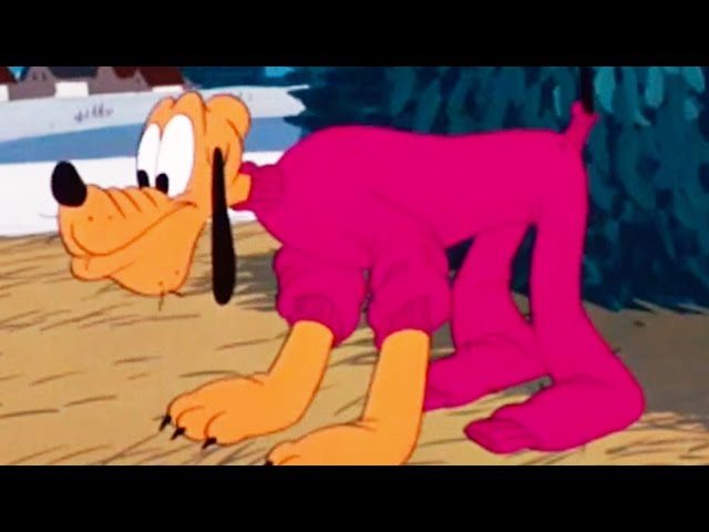 Pluto's Sweater | A Classic Mickey Short | Have A Laugh | @disneykids
