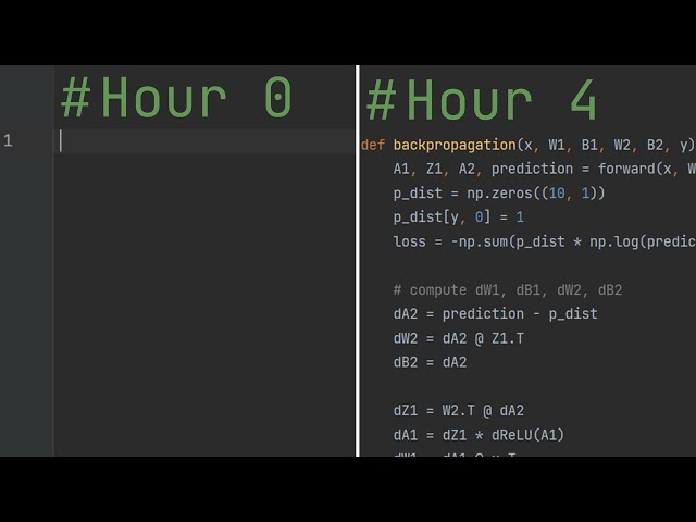 I built a neural network in 4 hours (from scratch)