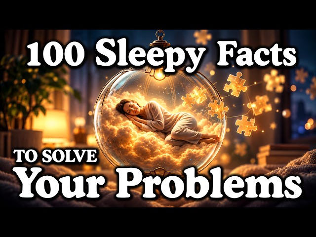 The Most Relaxing Facts About Problem Solving While You Sleep — Fall Asleep To