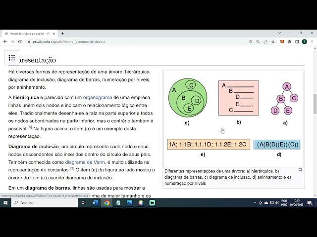 Estruturas de Dados Simples: Árvores binárias e hierarquia - Aula 08