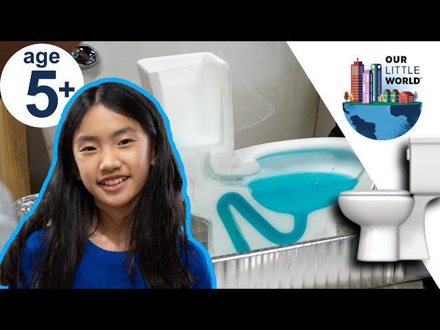 How Toilets Work | Flushing and Siphons