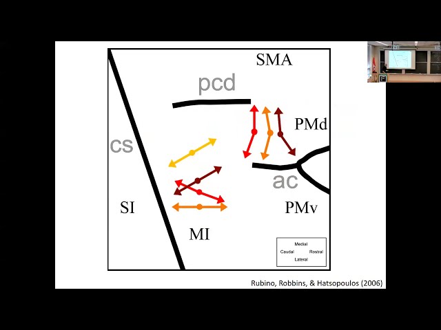Propagating motor cortical patterns encode movement initiation and execution