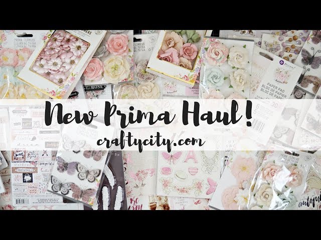 NEW Prima | Amelia Rose | Lavender | Frank Garcia Love story
