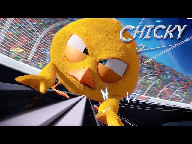 Where's Chicky? Funny Chicky 2023 | THE FINAL RACE | Cartoon in English for Kids | New episodes