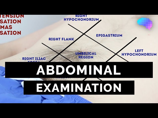 Abdominal Examination - OSCE Guide (Latest) | UKMLA | CPSA | PLAB 2