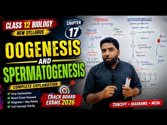 Oogenesis | spermatogenesis | spermiogenesis | class 12 Biology | Reproduction | biology | 