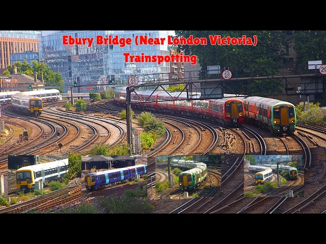 Trains at London Victoria Ebury Bridge BML 25/07/26