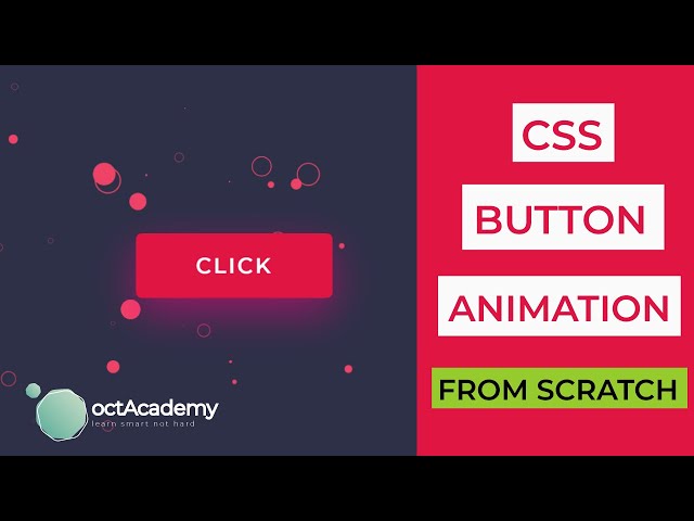 CSS3 Button Animation Tutorial | CSS Animation Effects