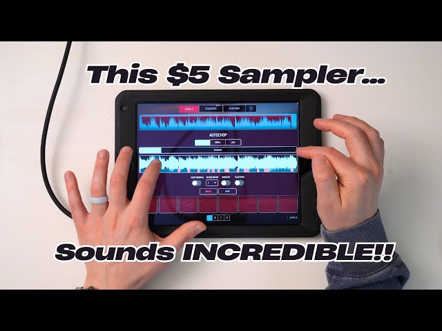 Koala Sampler First Impressions: Undeniably Smooth, Insane Value, and Easy to Master!