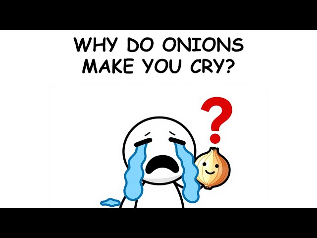 Why Do Onions Make You Cry? (Science Explained Simply)