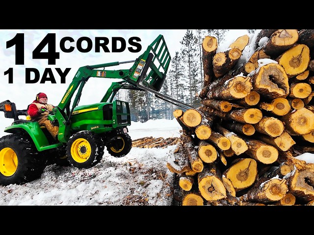 14 FULL CORDS FIREWOOD PROCESSED LESS THAN A DAY!