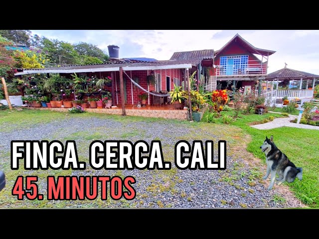 REF.463 #pedroparra #how to buy cheap farm near Cali Colombia properties