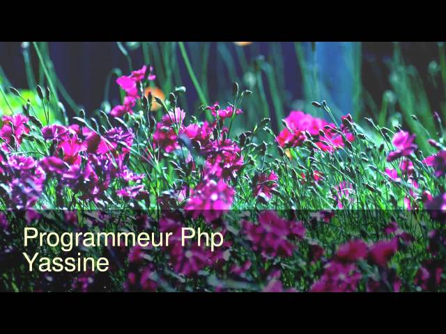Programmeur Php