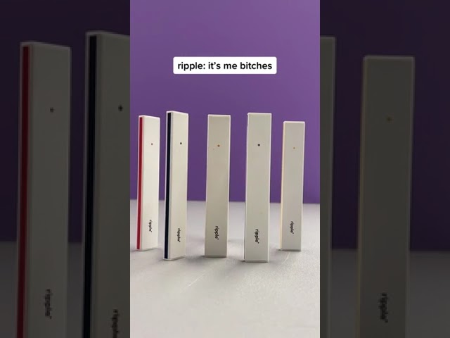 POV: RIPPLE WALKS IN  #ripple #funny