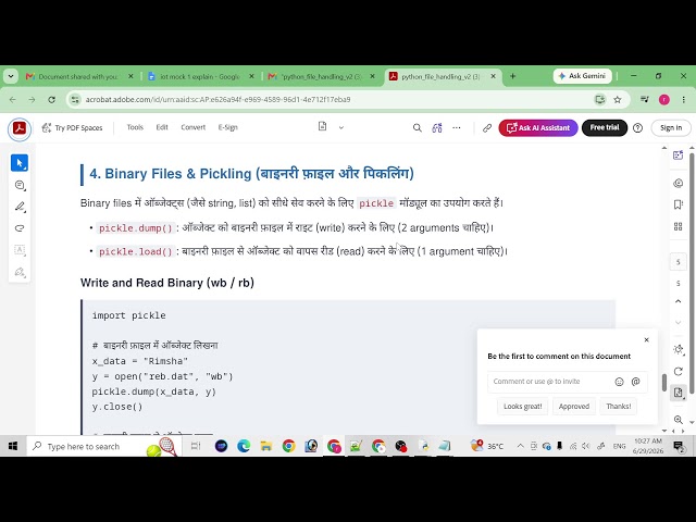 Python (File Handling)