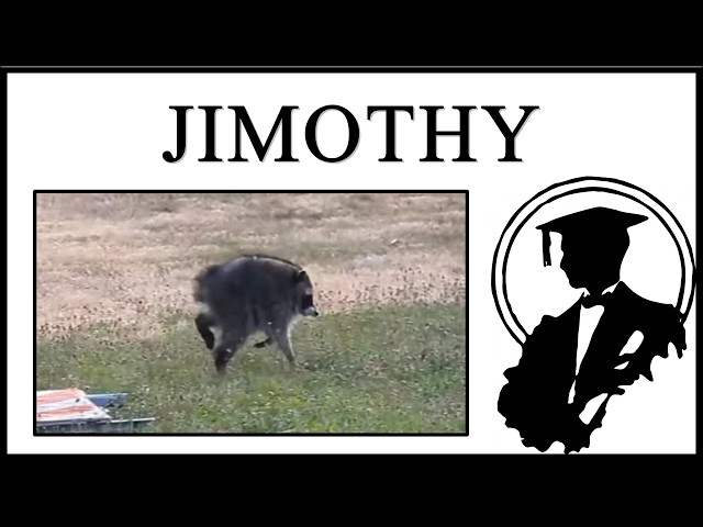 Jimothy Is Beautiful