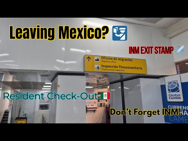 First Time at Airport? Immigration Process Explained ‼️ #airport