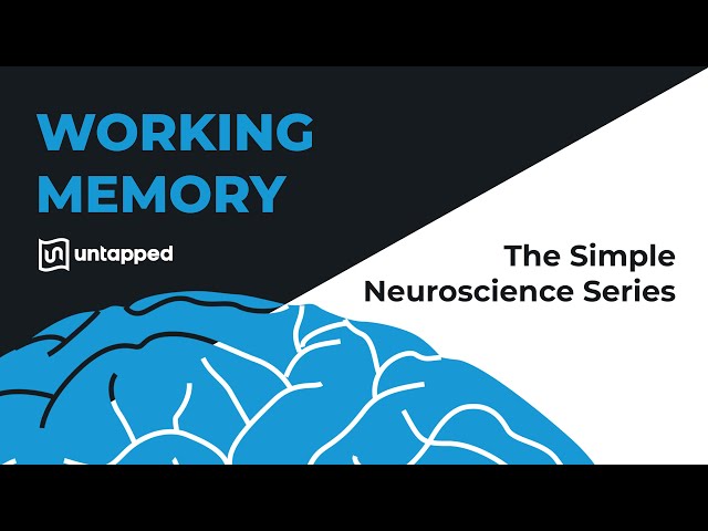 The Simple Neuroscience of Working Memory