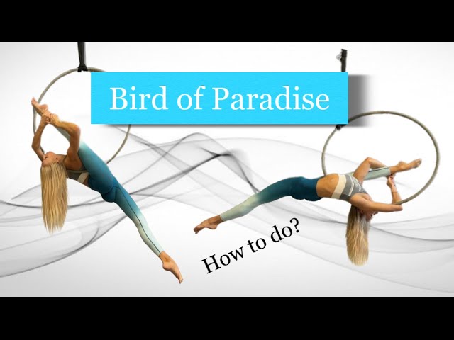 Bird of Paradise on Aerial Hoop - Aerial Lyra tutorial