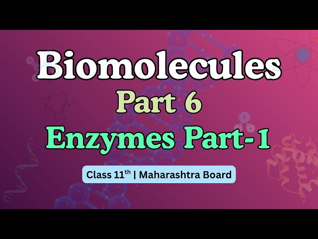 Biomolecule part 6 Enzymes | 11th std Maharashtra Board | Marathi Explanation | E Study Tutorials