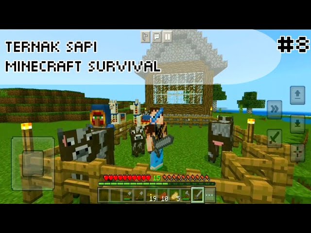 Tutorial Ternak Sapi Di Minecraft Survival Indonesia