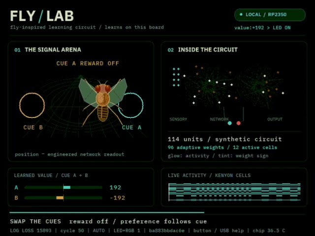 A tiny fly-brain lab on a microcontroller | CircuitPython + RP2350