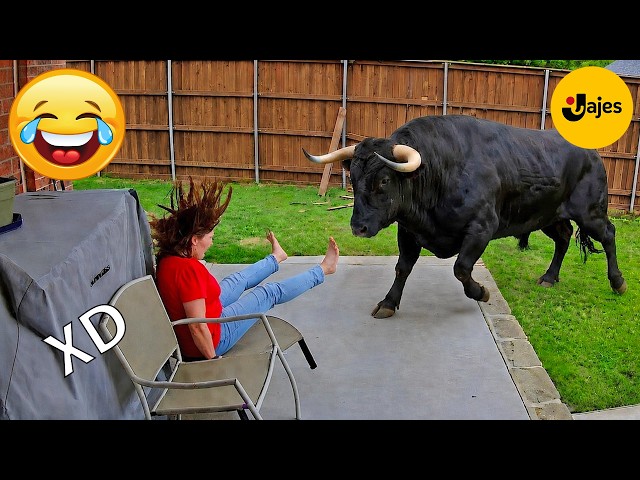 SI TE RÍES PIERDES NIVEL DIOS #251 🤣 VIDEOS DE RISA 😎 HUMOR VIRAL MEXICANO🤣