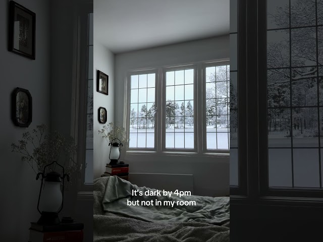 Transform Any Room with Stunning 4K Window Projections – Cozy & Realistic Scenes