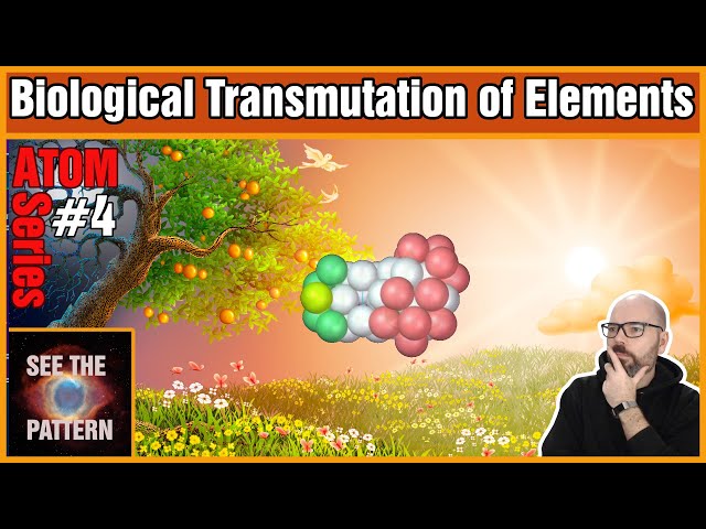 Biological Transmutation of Elements