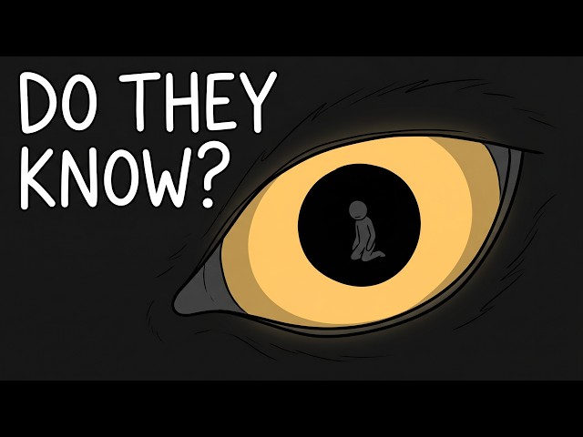 Do Wild Animals Know When a Human Is Trying to Help Them?