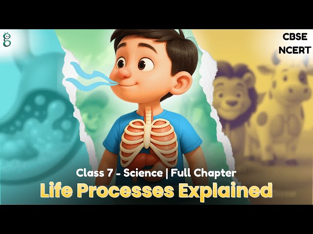 Class 7 Science | Chapter 9 | Life Processes in Animals | NCERT - CBSE