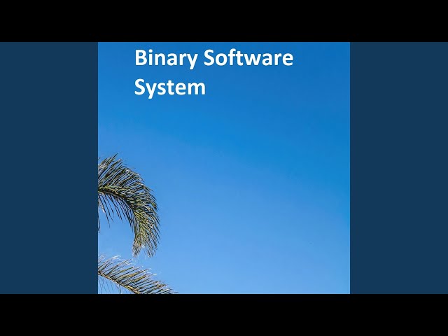 Binary Software System
