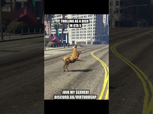 Deer Trolling in GTA 5 #gta5rp
