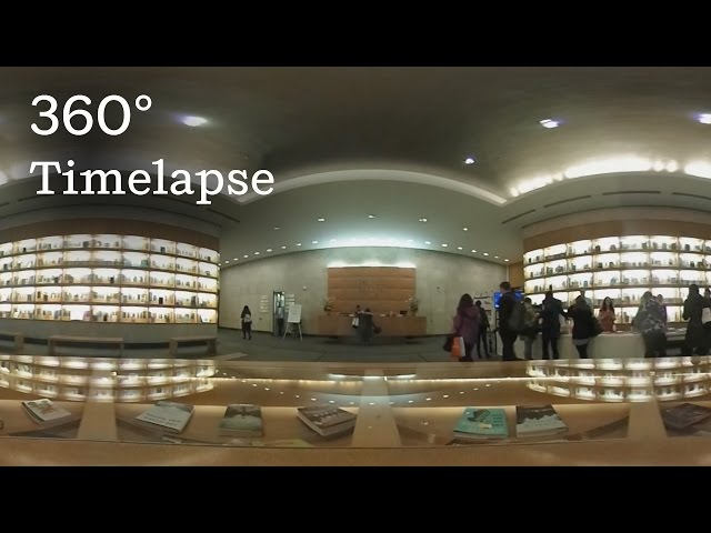 Morning at Penguin Random House (360° Video)