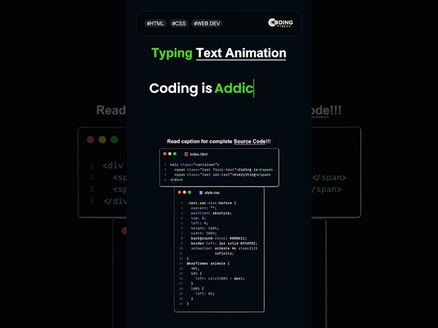 Type writer text in Dev of web 💀👾