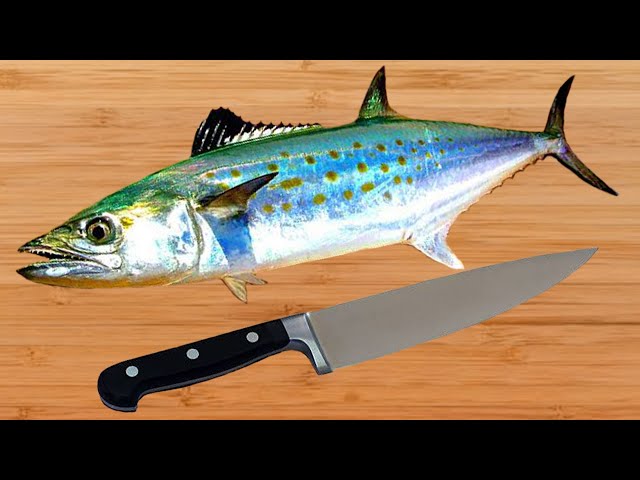Como Filetear Pescado Macarela